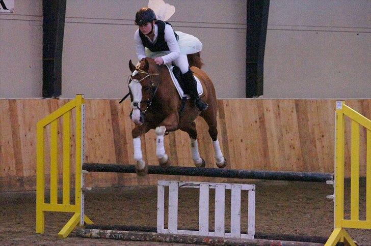 Welsh Partbred (Sec F) Indrino - Rille og jeg til udklædningsstævnet på SSRK, 85 cm :-) Som fe og enhjørning<3 billede 16