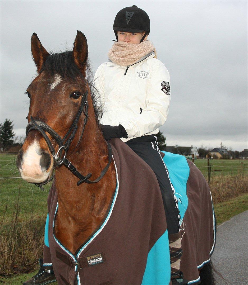 Knabstrupper Rughavens Fanny billede 18