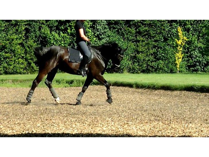 {{currentPhoto.altText}} billede {{currentPhoto.number}}