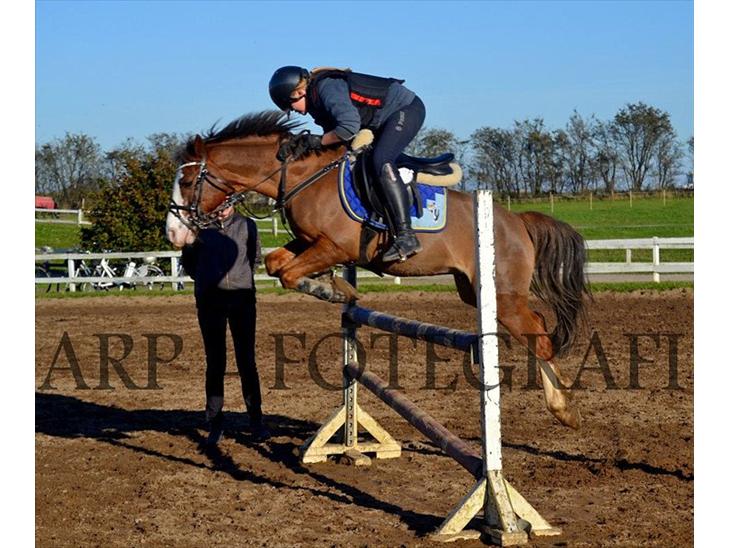 {{currentPhoto.altText}} billede {{currentPhoto.number}}