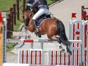 Irsk Sportspony Knockcullen Lass B-pony