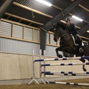 Anden særlig race Jolanda