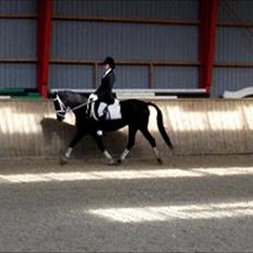 Anden særlig race Beauty {den nye stjerne}