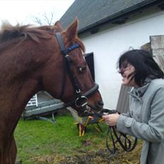 Anden særlig race Bounty