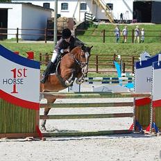 Irsk Sportspony Knockcullen Lass B-pony