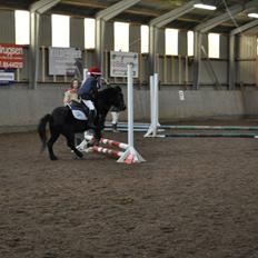 Anden særlig race Mikkeline