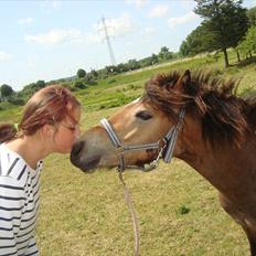 Anden særlig race ballu