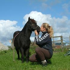 Shetlænder Claus † RIP † 10/9-11:(