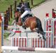 Irsk Sportspony Knockcullen Lass B-pony