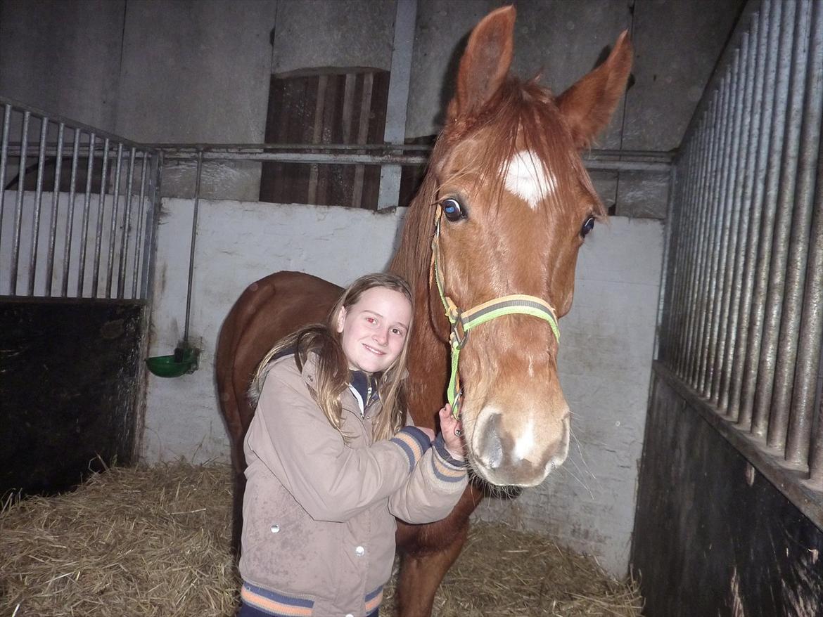 Anden særlig race Casmir billede 21