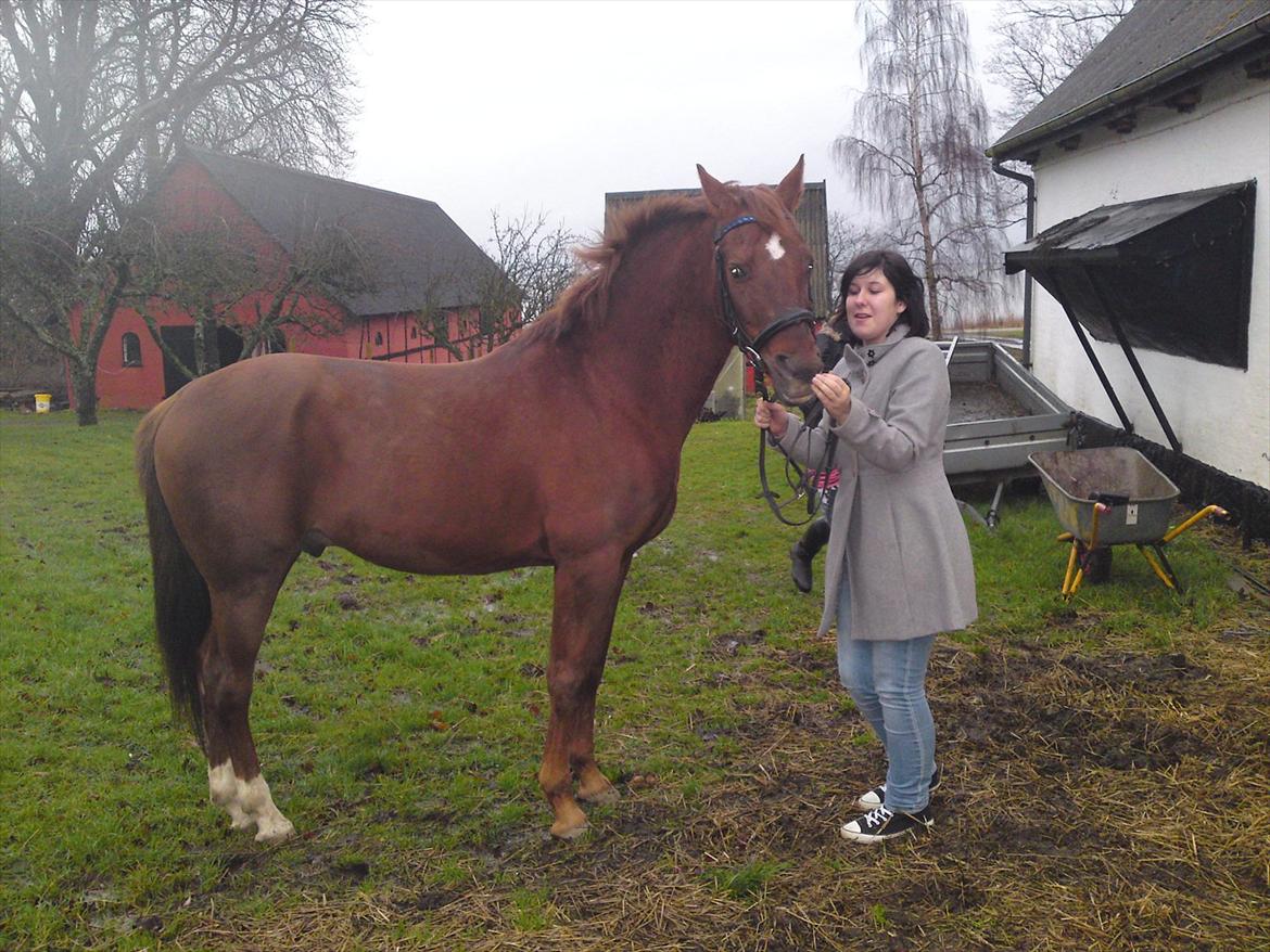 Anden særlig race bounty billede 15