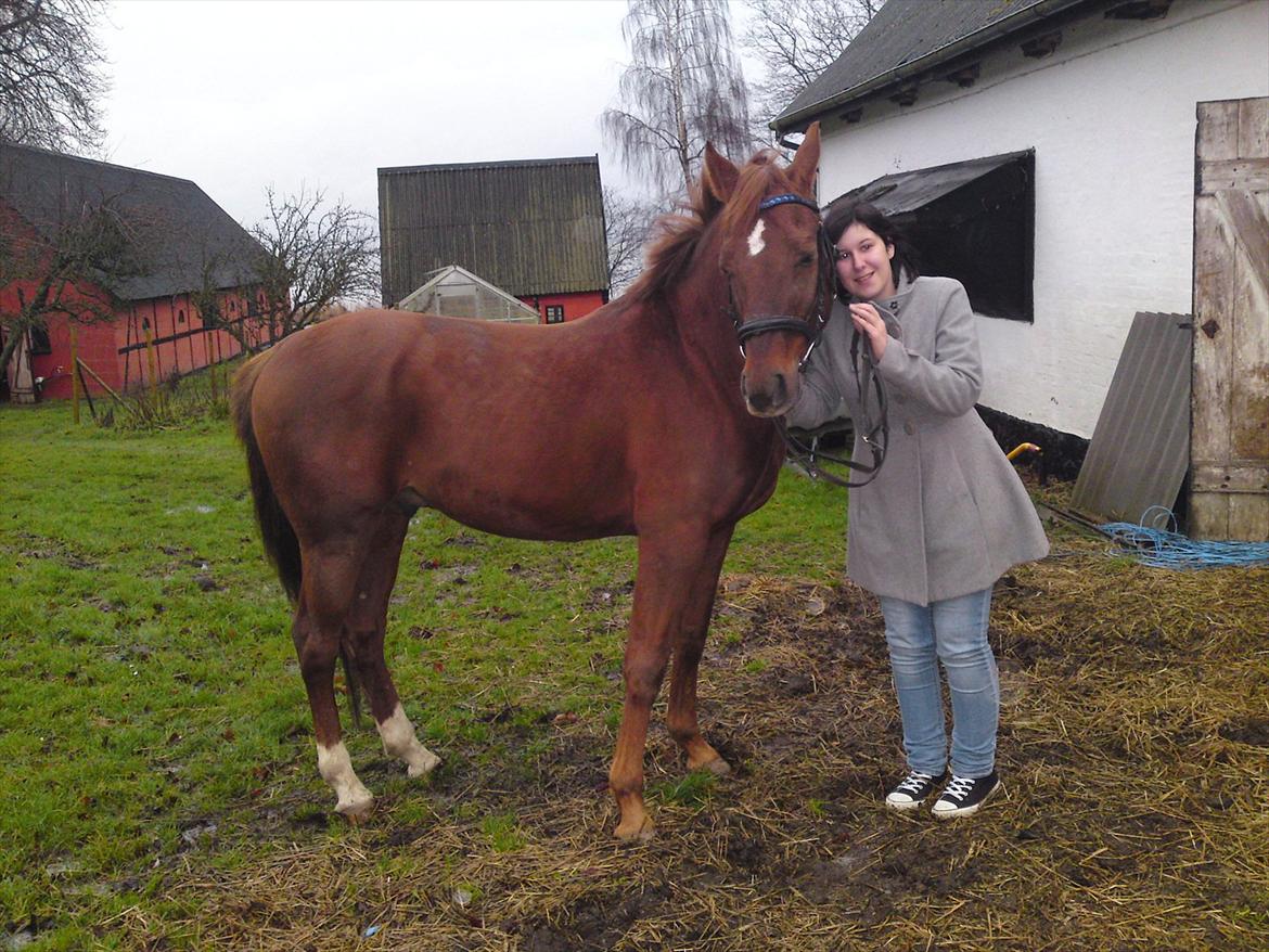 Anden særlig race bounty billede 16