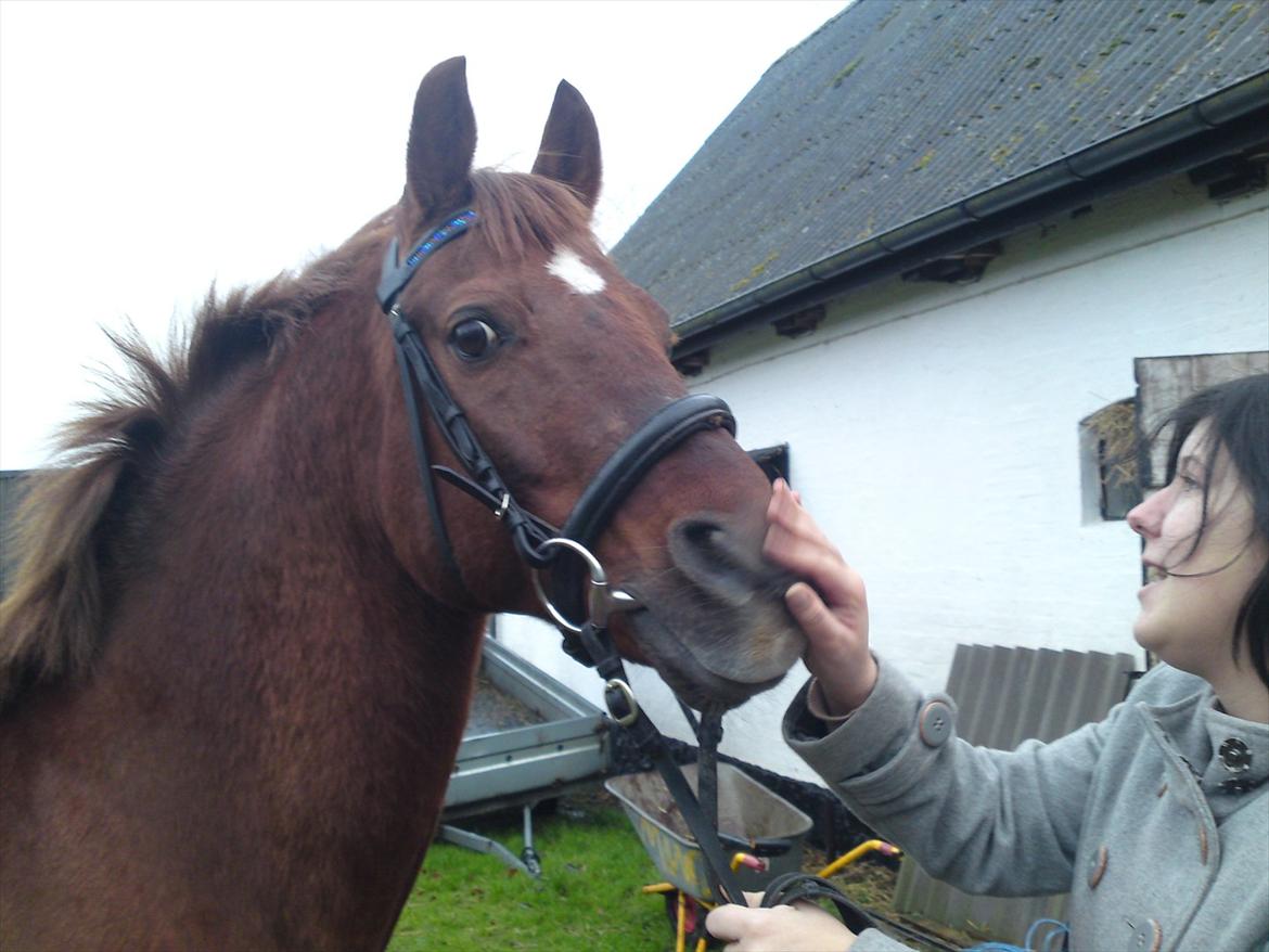 Anden særlig race bounty billede 17