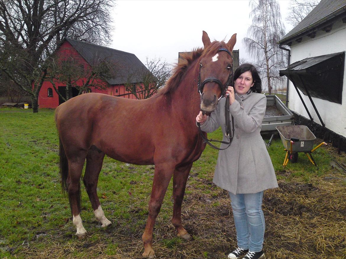 Anden særlig race bounty billede 19