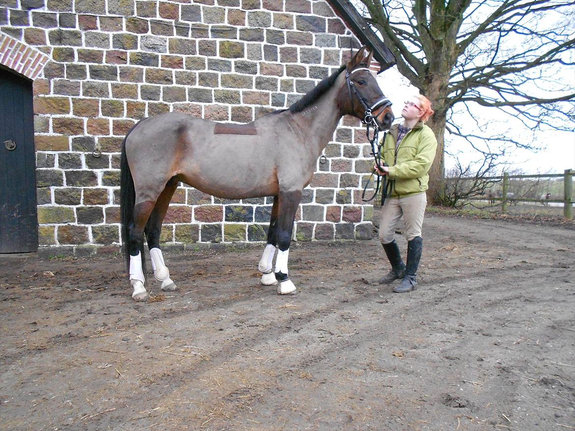 Traver Stella - Min grimme ælling (:  billede 9