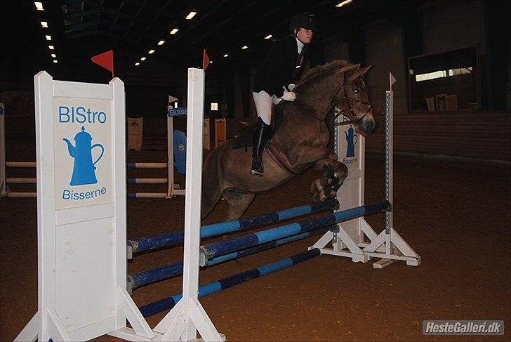 Anden særlig race Kebbe  - Du er mit et & alt.♥  billede 4