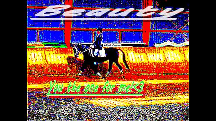 Anden særlig race Beauty {den nye stjerne} - elsker dig min stjerne!! :D<3
 billede 4