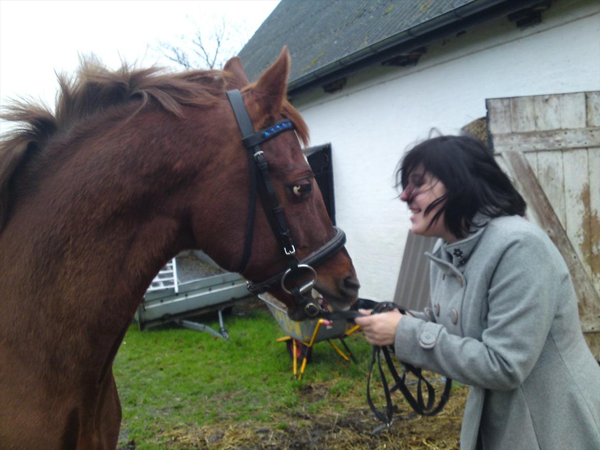 Anden særlig race Bounty billede 3