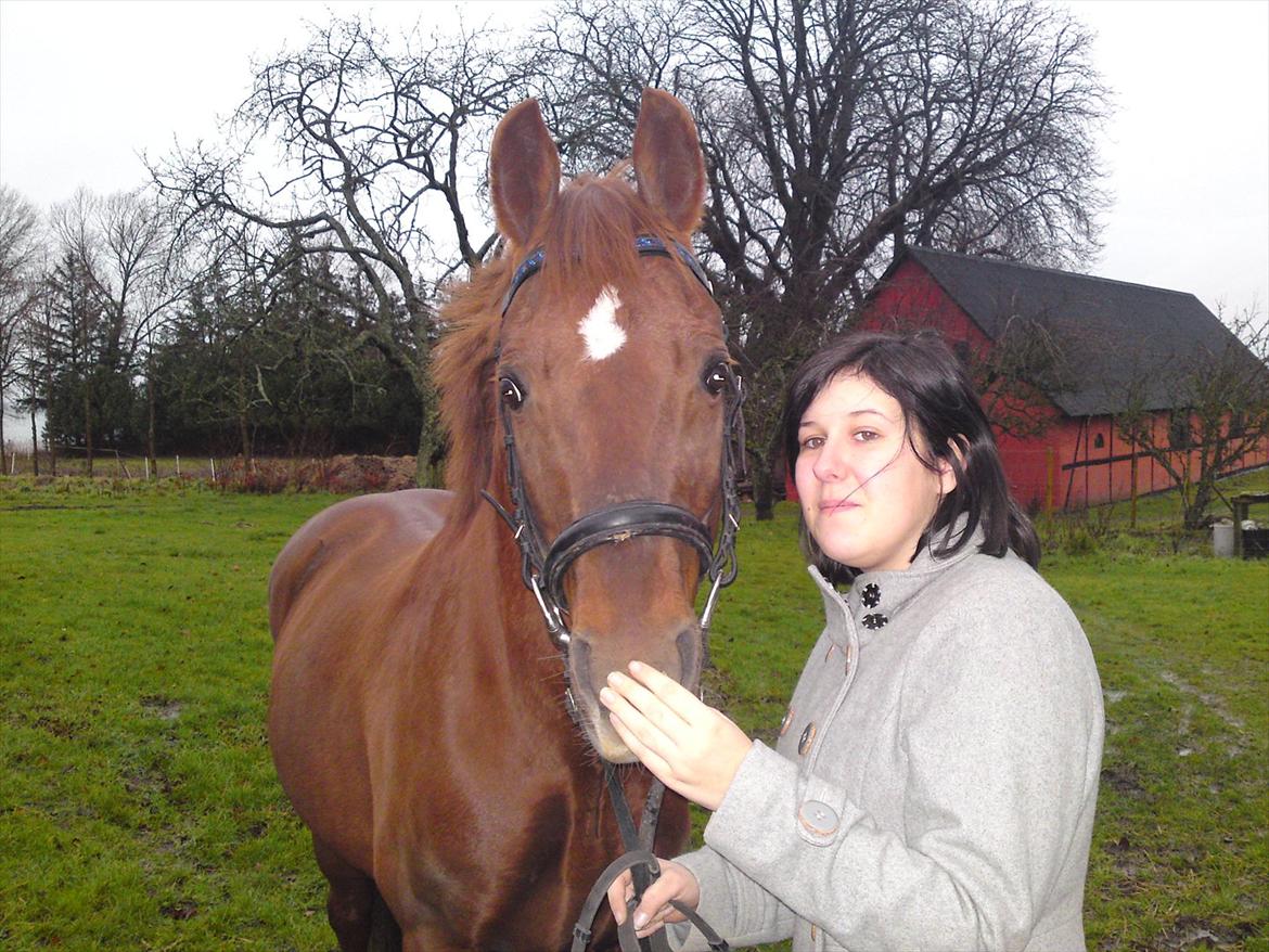Anden særlig race Bounty billede 2