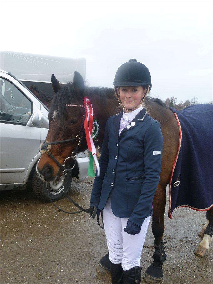 Irsk Sportspony Midnight Exspress - MBRK d.7/1 2012 Lc+Lb :) billede 10