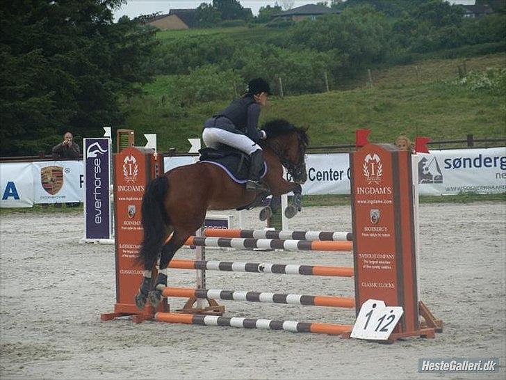 Irsk Sportspony Knockcullen Lass B-pony - Knockcullen Lass
Første MB** og 0
Stald melby billede 5