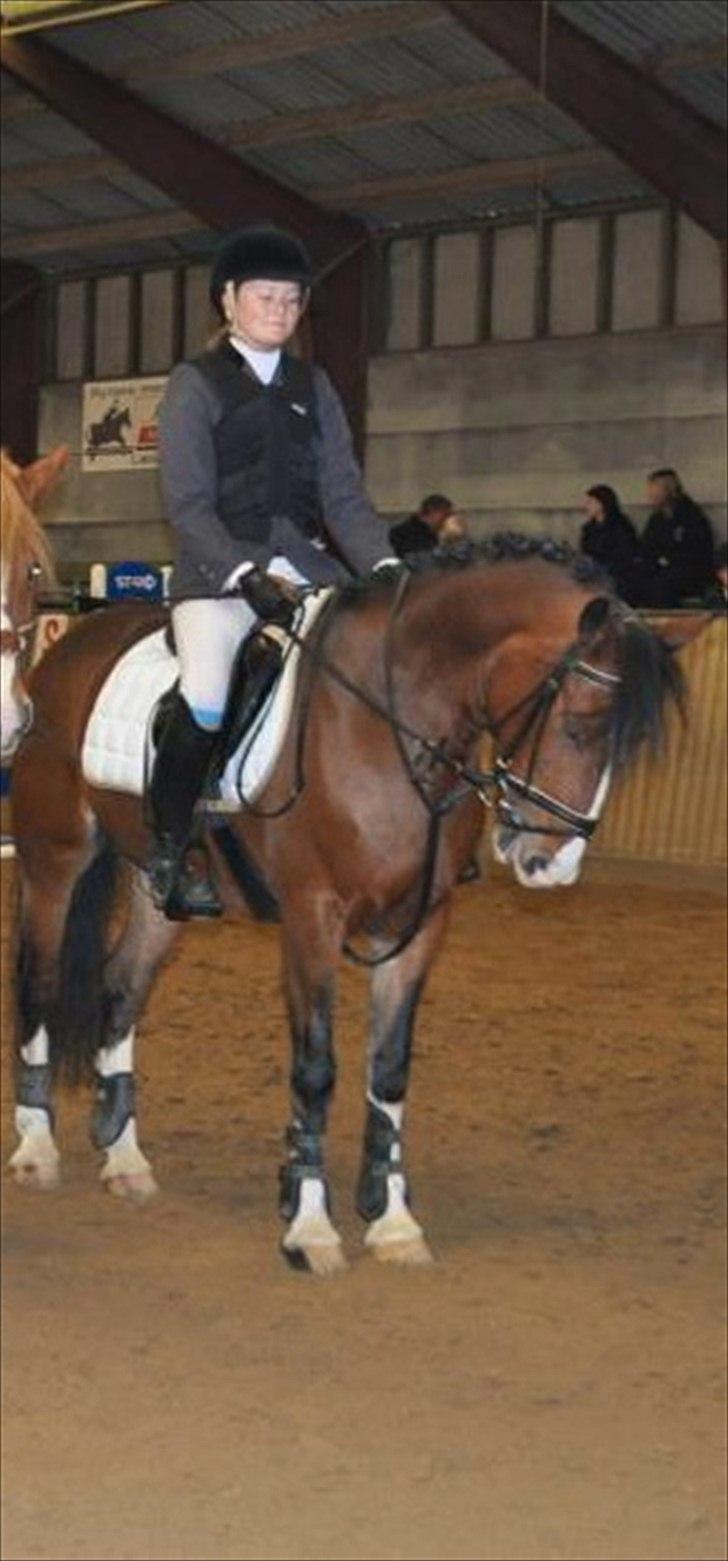 Irsk Sportspony Knockcullen Lass B-pony - Præmieoverrækkelse Hjørring c-stævne i jubilærumsklasse LA** billede 10