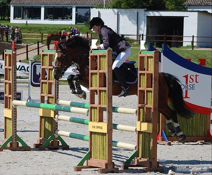 Irsk Sportspony Knockcullen Lass B-pony - Knockcullen Lass
Første MB** og 0
Stald melby billede 12