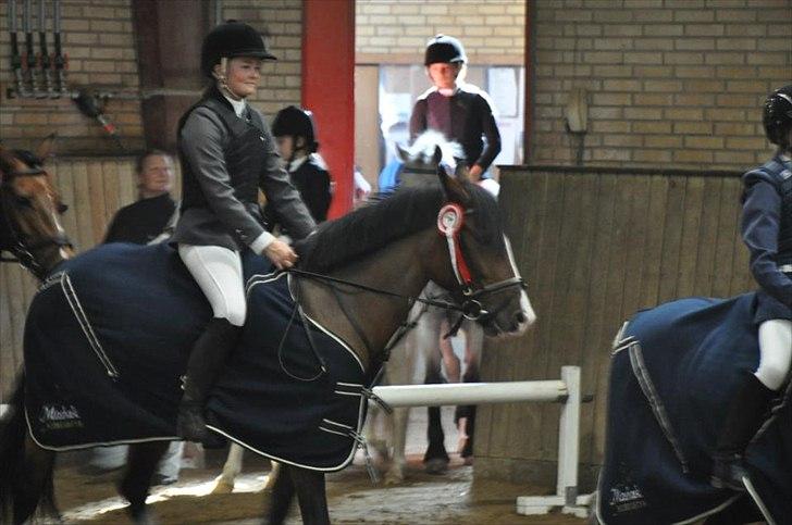 Irsk Sportspony Knockcullen Lass B-pony - Æresrunde vinder af distrikstmesterskab for hold distrikt 14 billede 15