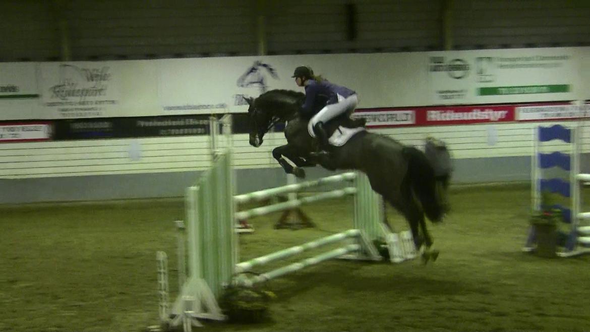 Dansk Varmblod - Caliber - 130cm. Vejle B-stævne, januar 2012 billede 18