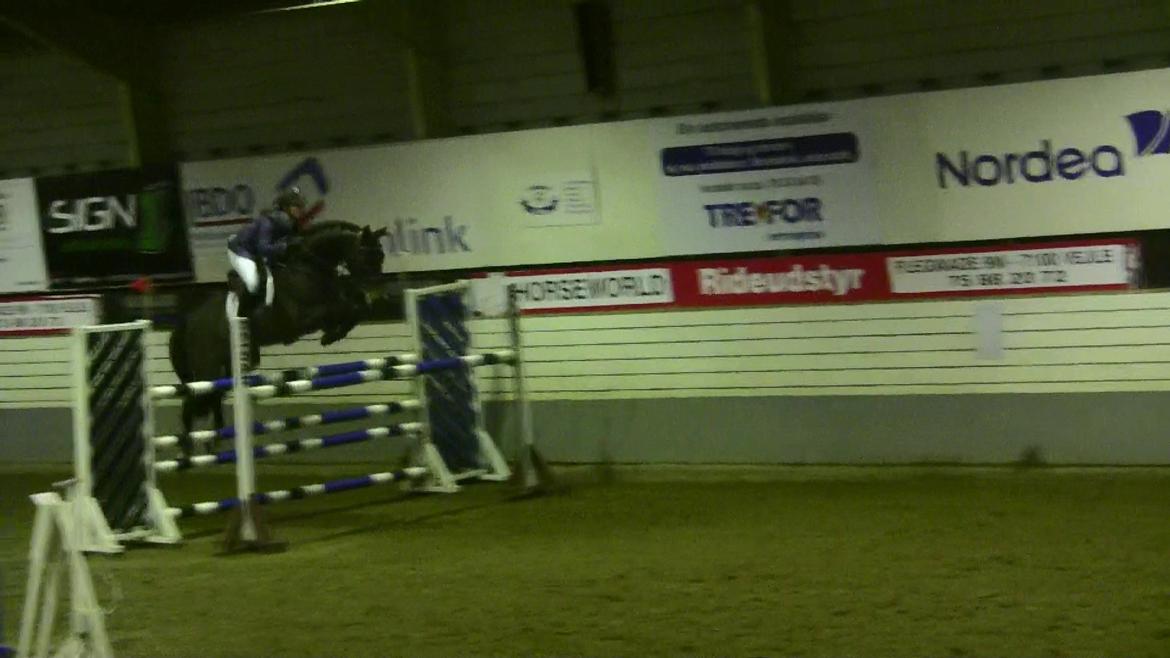 Dansk Varmblod - Caliber - 130cm. Vejle B-stævne, Januar 2012 billede 19