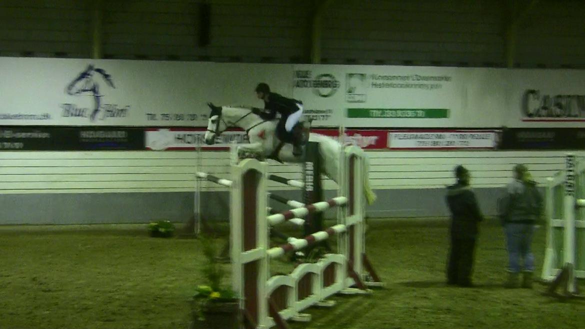 Holstener - Quidditch 13 - 130cm. Vejle B-stævne, Januar 2012. billede 16