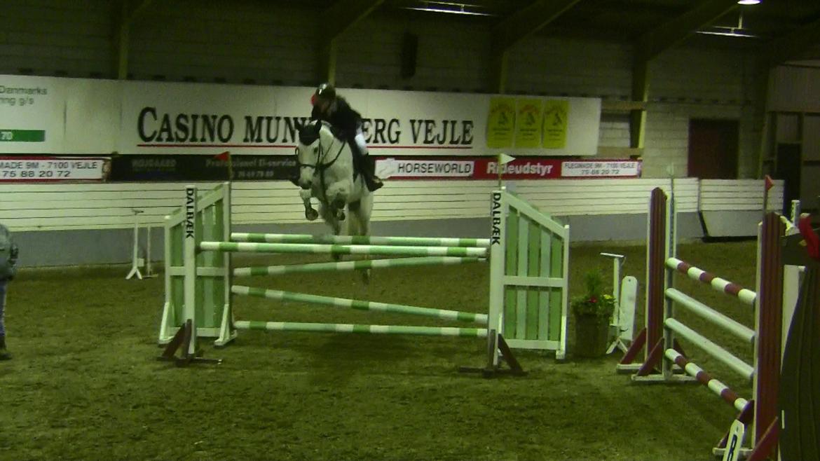 Holstener - Quidditch 13 - 130cm. Vejle B-stævne, Januar 2012. billede 17