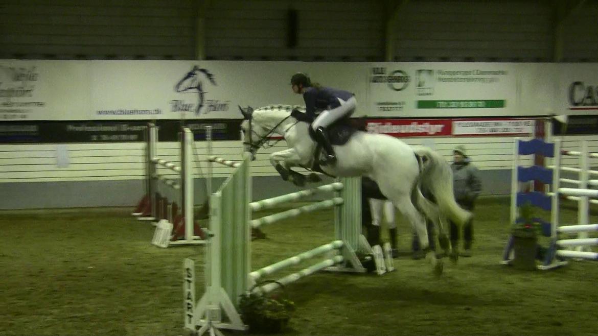 Holstener - Quidditch 13 - 130cm. Vejle B-stævne, Januar 2012. billede 18