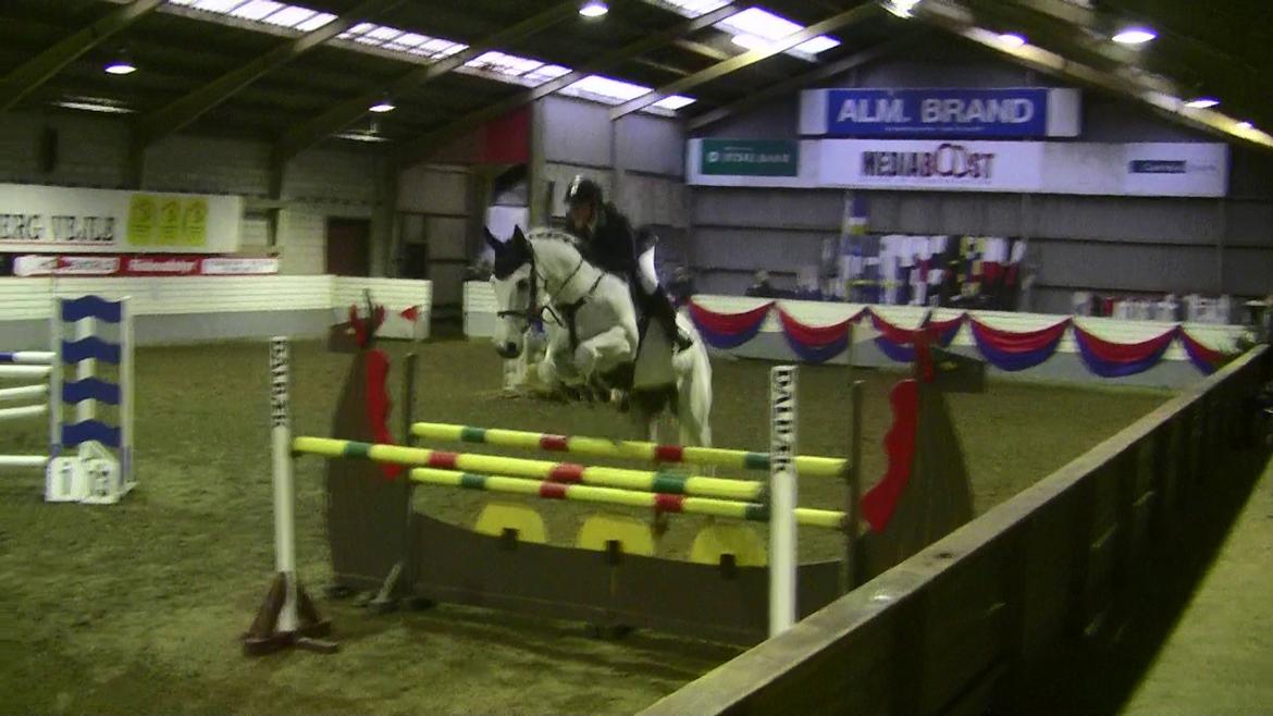 Holstener - Quidditch 13 - 130cm. Vejle B-stævne, Jaunar 2012. billede 19