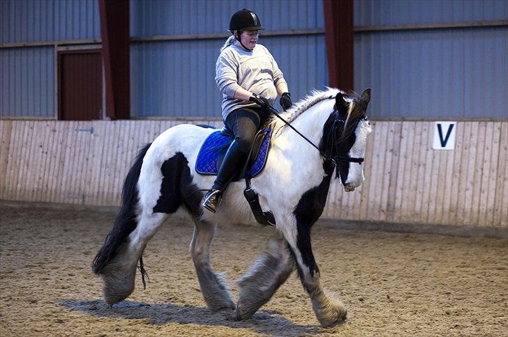 Tinker Nico billede 6