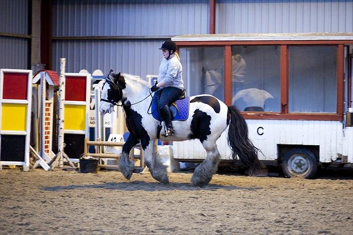 Tinker Nico billede 7