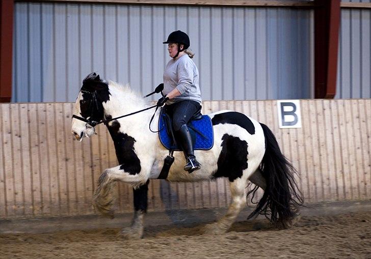 Tinker Nico billede 8