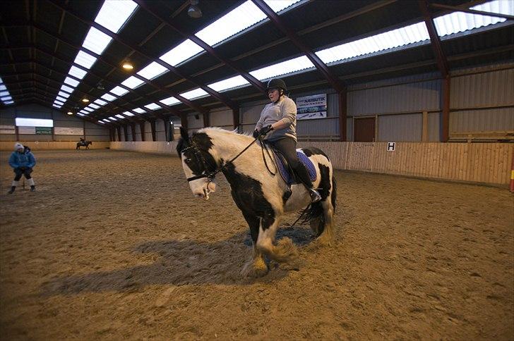 Tinker Nico billede 10