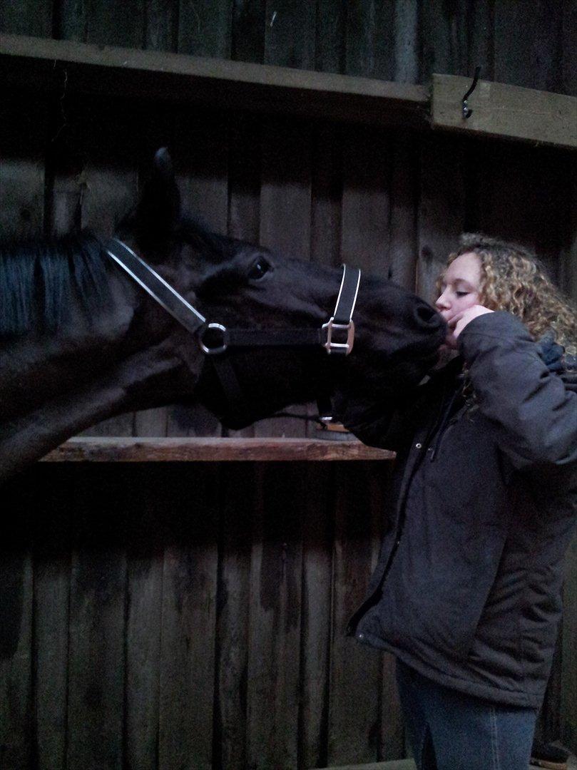 Hollandsk Sportspony Bean Geste- Savner dig :'( - 

til dødens os skiller <3

Ponyen har lært at kysse <3
stjerne <3 billede 9