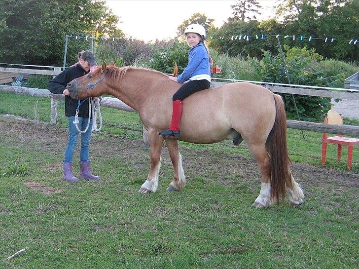 Anden særlig race Bertram - Første gang Emmie var oppe på ham. billede 9