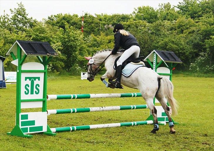 Anden særlig race SKOVGÅRDENS SHARNIE<3 -ninja-gede-knirke- - Fordi vi kan ride stævner, men vi kan undvære, fordi jeg aldrig vil sælge dig selvom jeg ikke længere er ponyrytter.
Vores sidste stævne 2011 LB*
Foto Christine B billede 17
