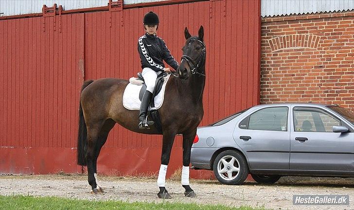 Anden særlig race  Lopez  billede 12