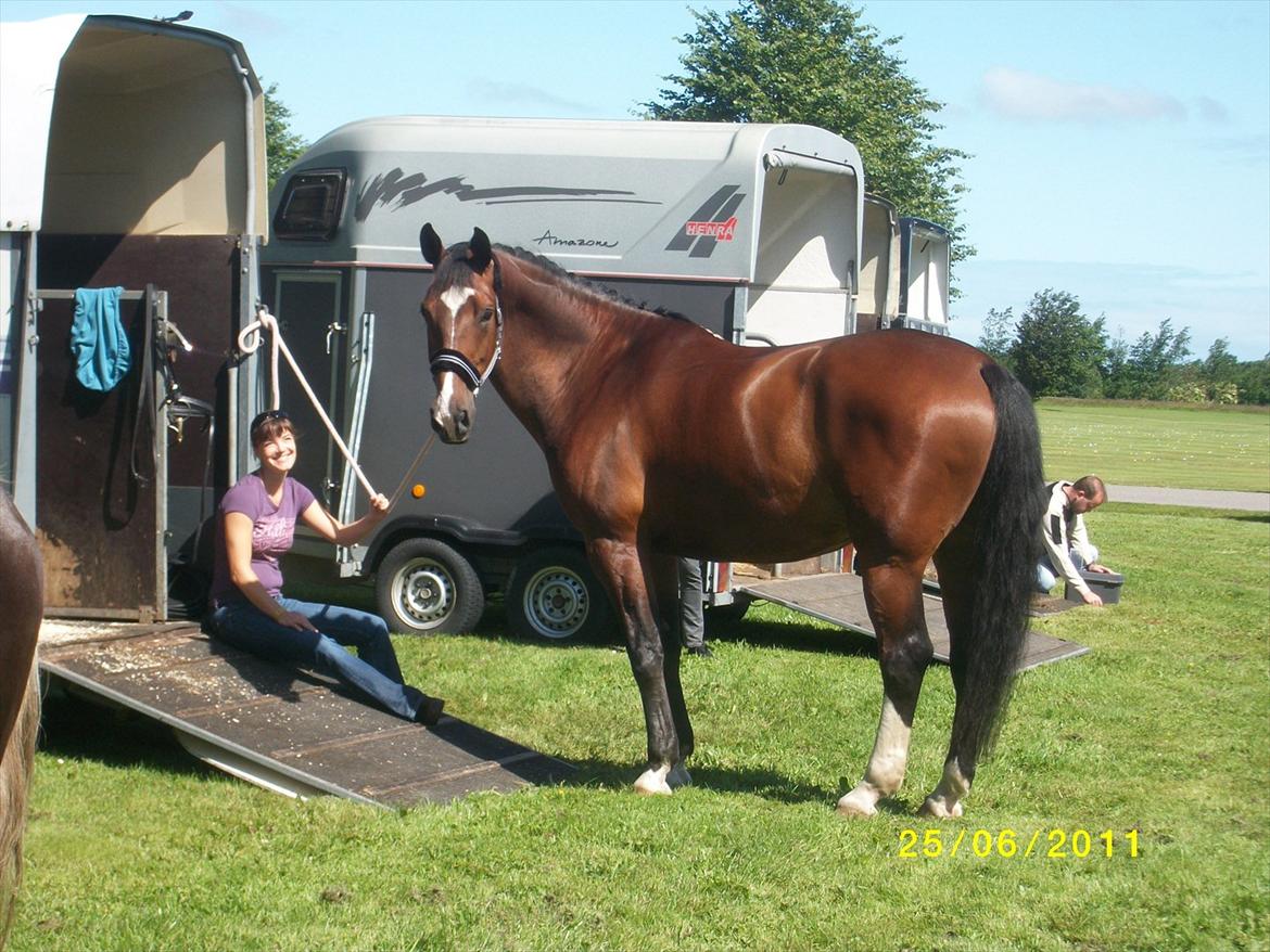 Anden særlig race Nico billede 8
