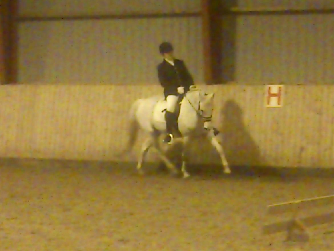 Anden særlig race Søvinds Silvermoon <3 R.I.P <3 :'( - 7 Januar 2012 LA1 Hylke
Foto: Mor <3 billede 8