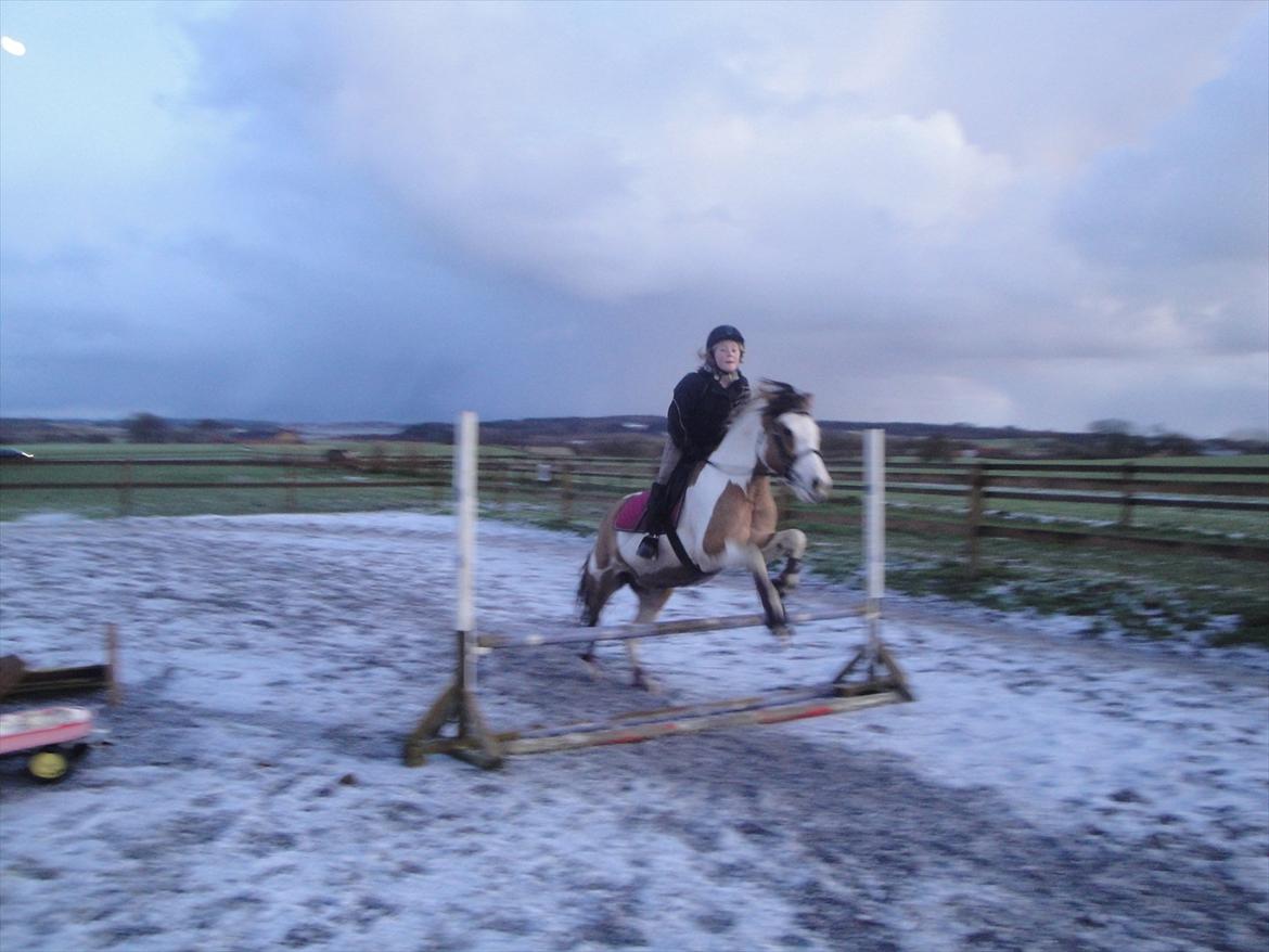 Anden særlig race Hedegaardens Savannah - mig og Øffe springer <3 billede 7