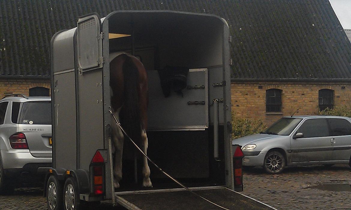 Anden særlig race Mercedes - Når godt enden er god, er alting godt :)

Tak fordi du/I kiggede forbi, smid gerne en kommentar, og bedømmelse nu når du er her :) billede 20