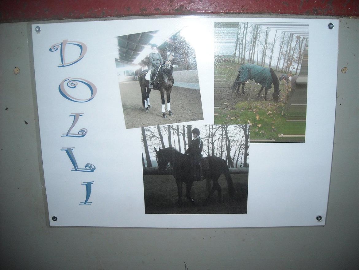 Tysk Varmblod Dolli - Ja, Mette har været kreativ :D  billede 15