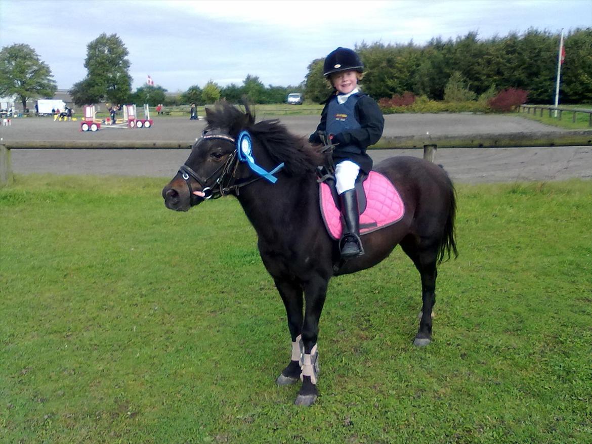 Anden særlig race Mikkeline billede 7