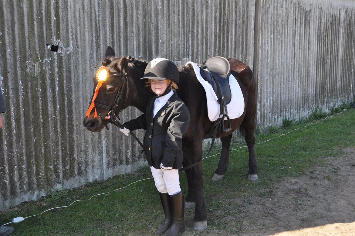 Anden særlig race Mikkeline billede 8