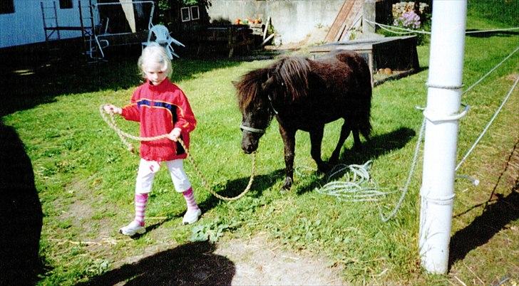 Shetlænder Tulle - Mig som helt lille, og tror faktisk at der er tulles mor lotte. haha og ikke tulle hende selv :D billede 15